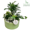 CH003 Loes Light Green