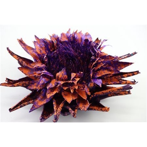 Dried Artz Cynara Heads Vermeer