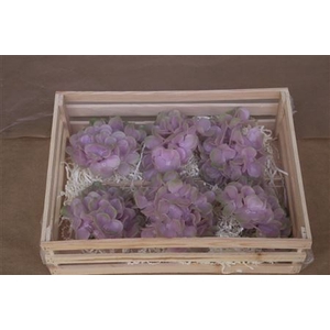 Wax Hydrangea Rosa