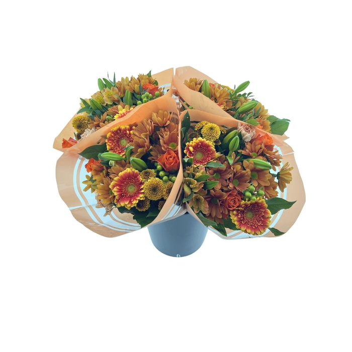 BQ 13 stems Orange