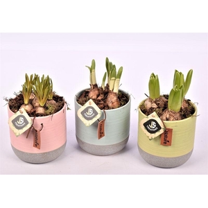 Keramiek mix 3 kleur