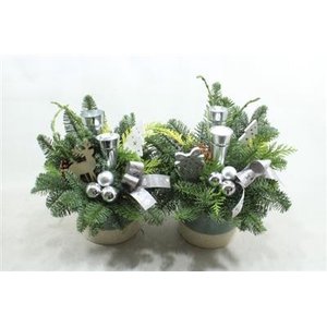 561. Ker Green Puntlicht