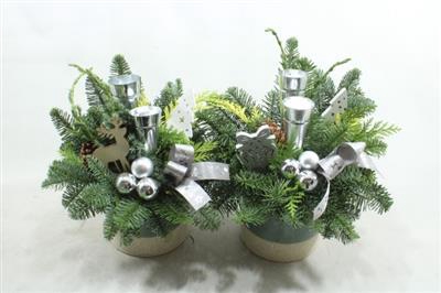 <h4>561. Ker Green Puntlicht</h4>