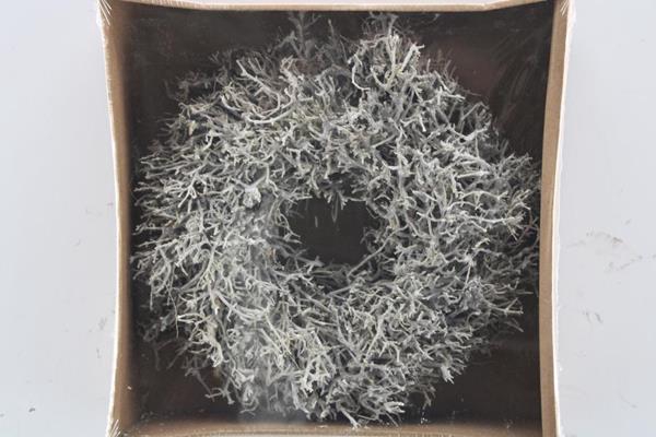 <h4>Droog Krans Dry Tree White</h4>