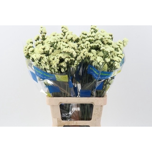 Lim S Crystal Yellow