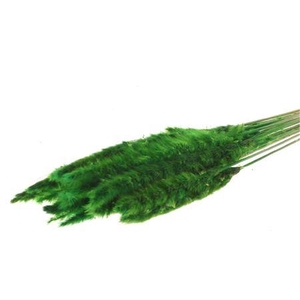 Bunch Fluffy Pampas Slv 70g L75