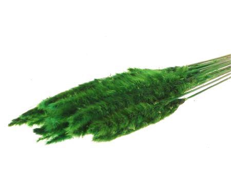 Bunch Fluffy Pampas Slv 70g L75