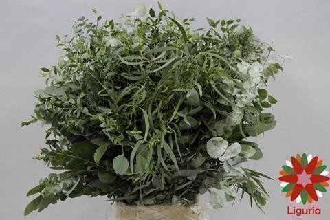 <h4>Leaf eucalyptus mix per bunch</h4>