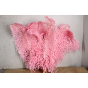 Feather Ostrich 65cm L.pink