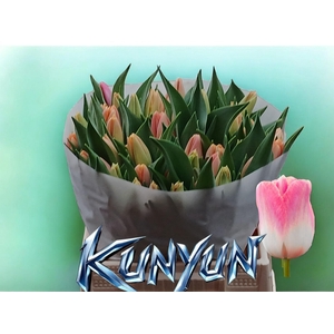TU EN KUNYUN