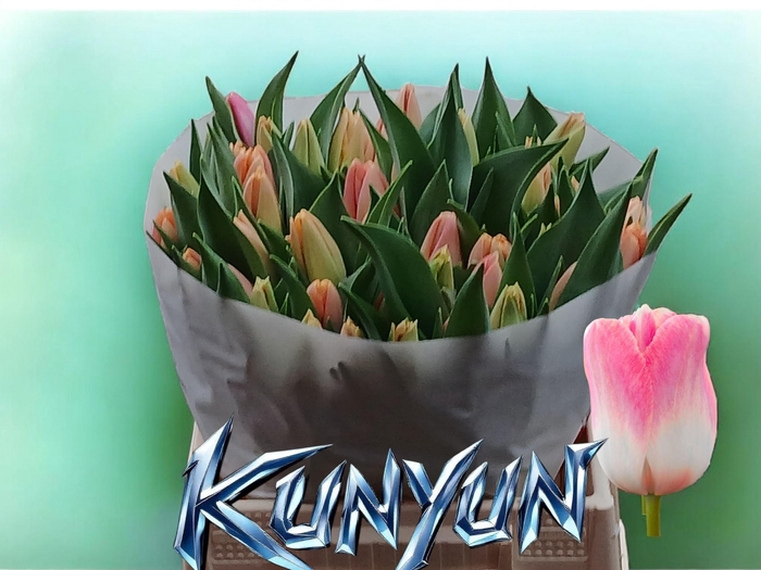 <h4>TU EN KUNYUN</h4>