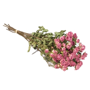 Droogbloemen - Spray Rose Pink