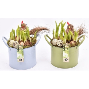 Zink ton kl.mix 15cm