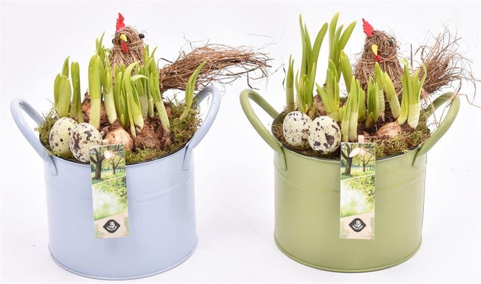 <h4>Zink ton kl.mix 15cm</h4>