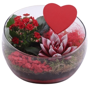 Valentine Arr. Indoor Glass Bowl Vase Ø20cm 2PP