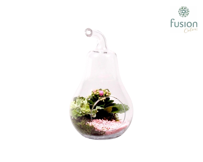 <h4>Glazen peer met Arrangement D17 H30</h4>