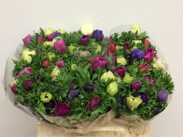 <h4>Anem Co Mar Mix</h4>