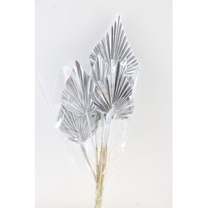 Dried Palm Spear 10pc Silver Bunch