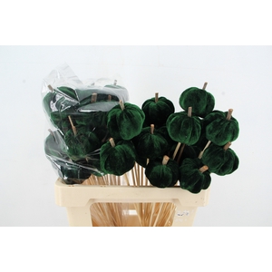 Stick Pumpkin 5/6cm Green