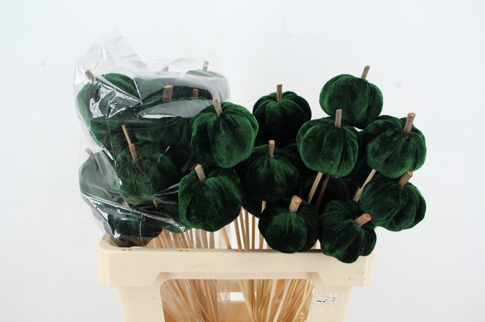 <h4>Stick Pumpkin 5/6cm Green</h4>