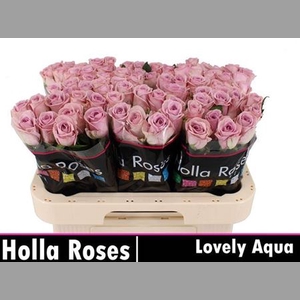 R Gr Lovely Aqua!
