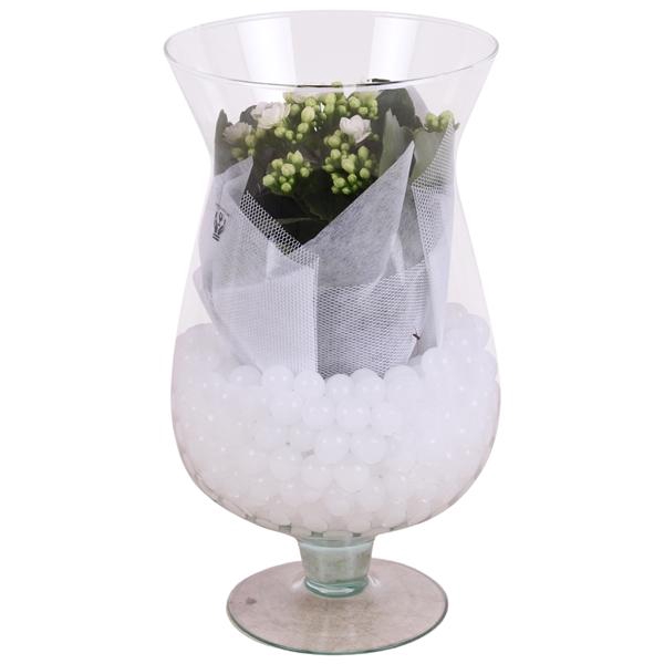 <h4>Yearround Arr. Glass Cognac glass Large Ø17cm 1PP</h4>