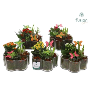 Glazen Bloemschaal met Voorjaar arrangement