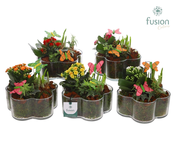 <h4>Glazen Bloemschaal met Voorjaar arrangement</h4>