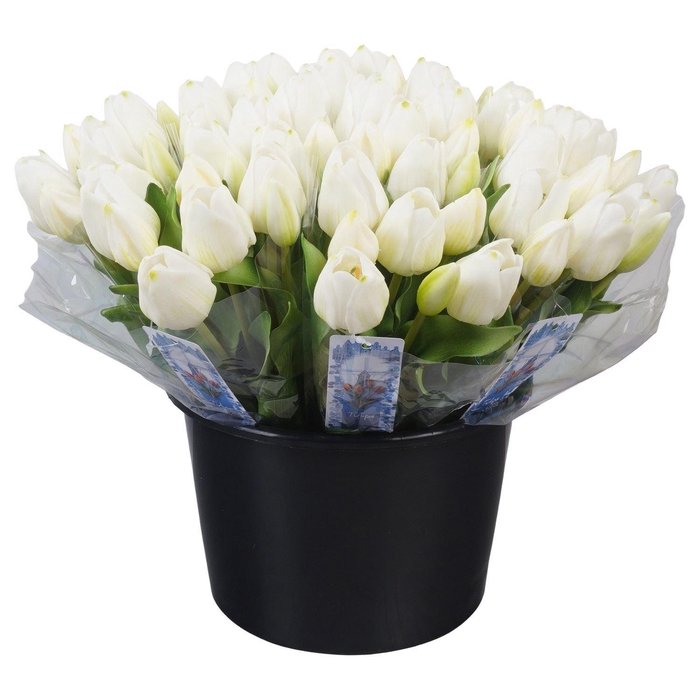 <h4>Decoratie ..Kunstbloem H%</h4>