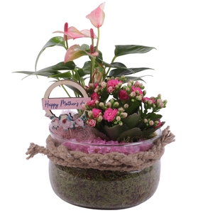 Mothersday Arr. Indoor Glass Bowl Ø16cm 2PP