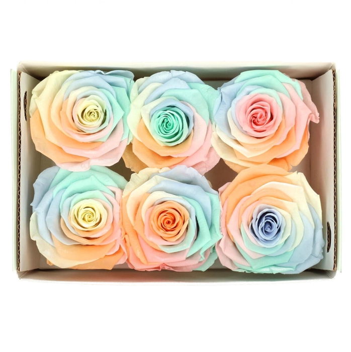 <h4>Preserved Rose 6cm</h4>