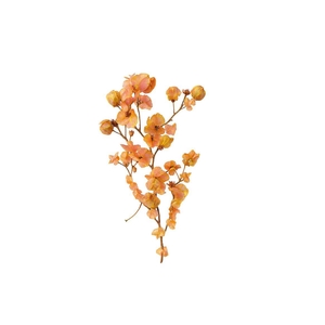 Dried Artz Bougainvillea Gaugain Bunch