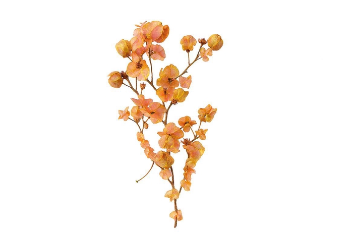 <h4>Dried Artz Bougainvillea Gaugain Bunch</h4>
