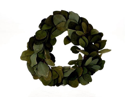 <h4>Wreath Eucalyptus Populus D35</h4>