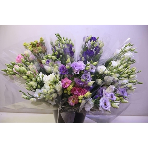 Eus G Gem In Fust X3