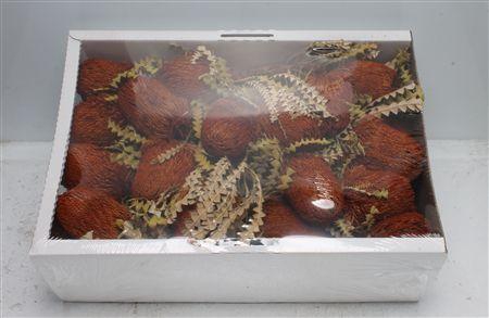 <h4>Banksia Speciosa Orange</h4>