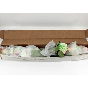 Hydr M Rainbow In Box X12