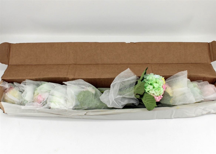 <h4>Hydr M Rainbow In Box X12</h4>