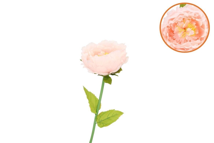 <h4>Silk Amazing Peony Beauty Peach L 28x100cm</h4>