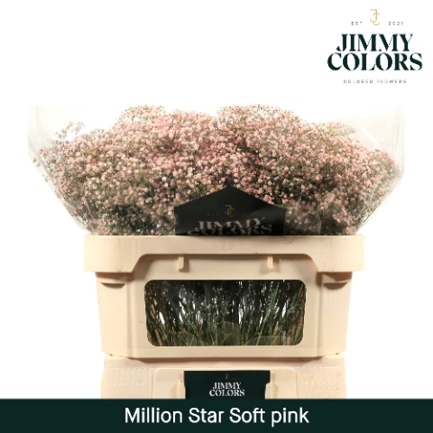 <h4>Gyps Million Star L70 Soft pink</h4>