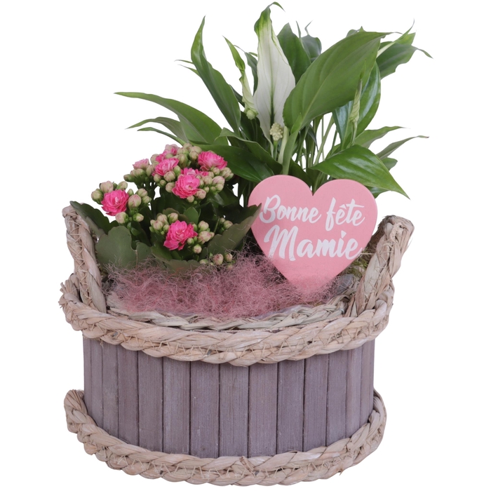 <h4>Grandmothers Day Arr. Indoor Wooden Pot Waterhyacint Rim Ø19cm</h4>