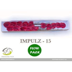 ANTH A IMPULZ 15 FL