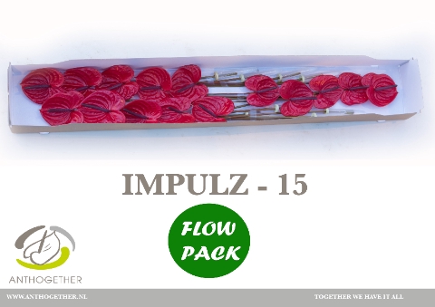 <h4>ANTH A IMPULZ 15 FL</h4>