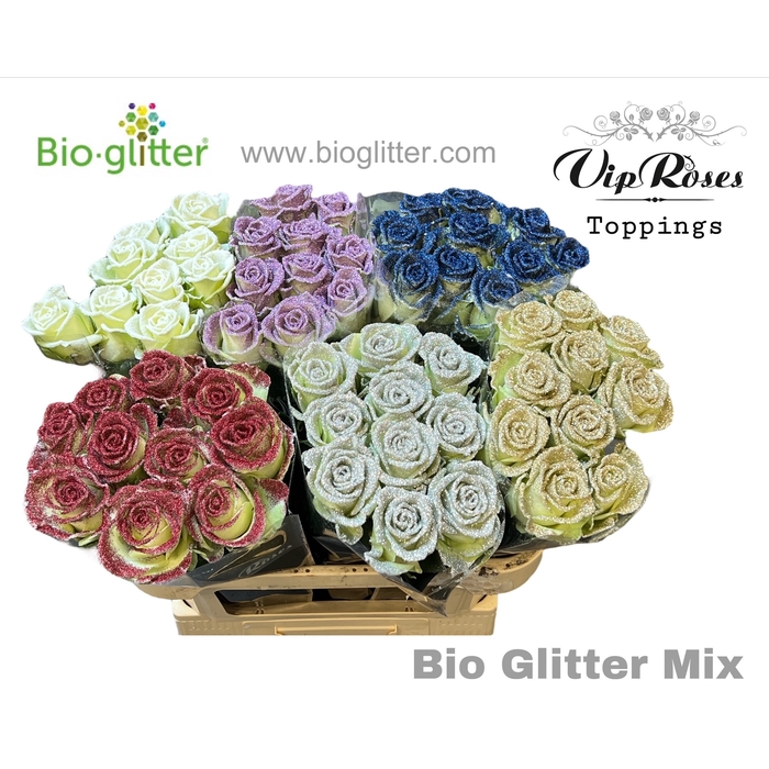 <h4>R Gr Bio Glitter Mix</h4>