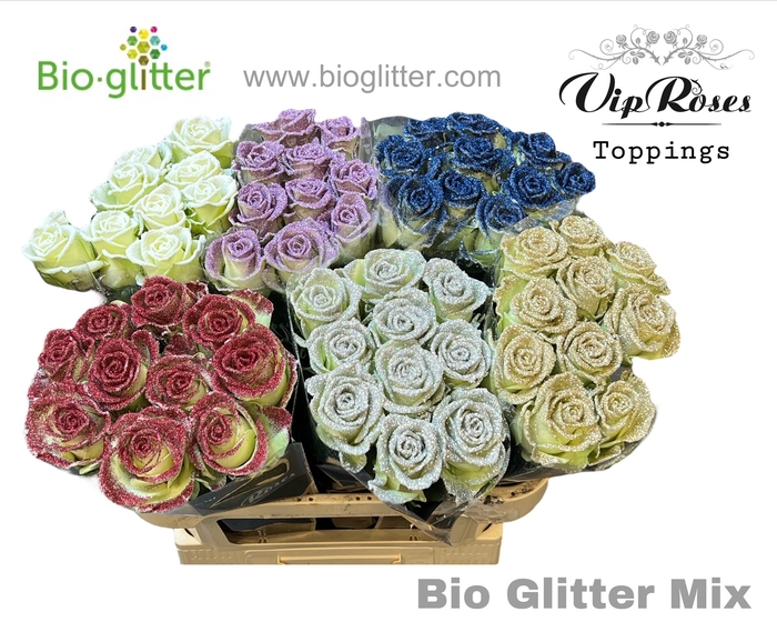 <h4>R Gr Bio Glitter Mix</h4>