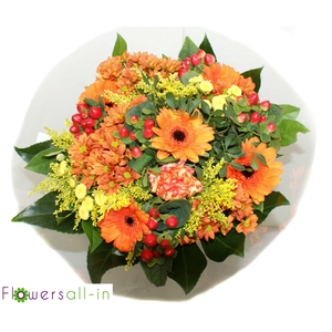 BB 20280 oranje