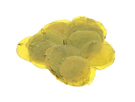 Capiz Shell 500g