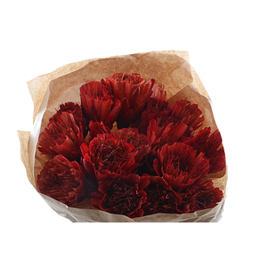 Protea Orange On Stick