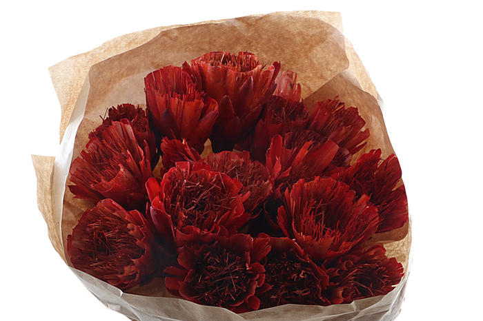 <h4>Protea Orange On Stick</h4>