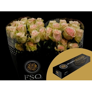 R GR Frutteto Box
